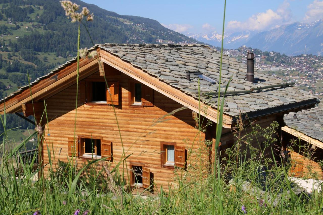 Christoph STANDING&CALM chalet 10 pers by Alpvision Résidences Veysonnaz Esterno foto